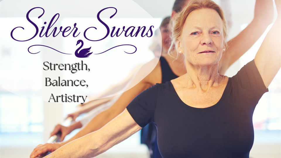 Silver Swans